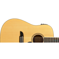 Акустическая гитара Alvarez RD8C